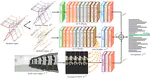 MMNet: A Model-based Multimodal Network for Human Action Recognition in RGB-D Videos