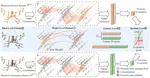 EGCN++: A New Fusion Strategy for Ensemble Learning in Skeleton-Based Rehabilitation Exercise Assessment